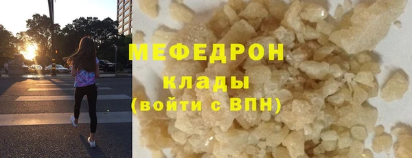 прущие грибы Гусиноозёрск