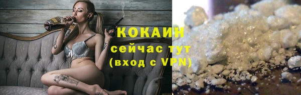прущие грибы Гусиноозёрск
