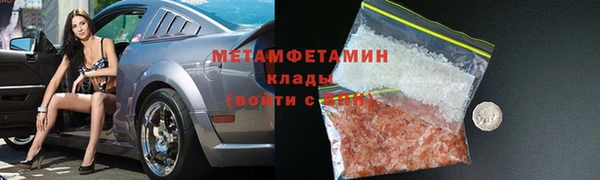 прущие грибы Гусиноозёрск