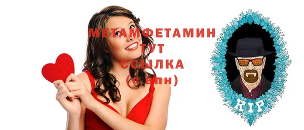 прущие грибы Гусиноозёрск