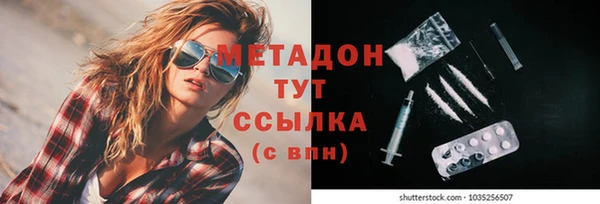 прущие грибы Гусиноозёрск