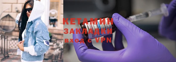 прущие грибы Гусиноозёрск