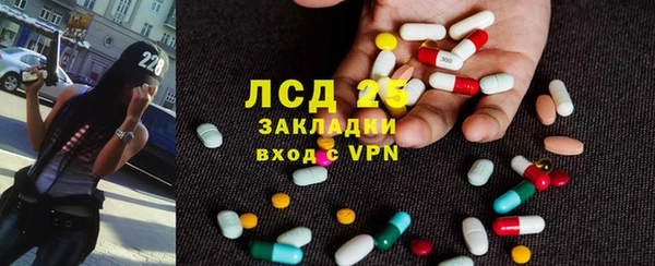 прущие грибы Гусиноозёрск