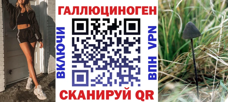 Галлюциногенные грибы GOLDEN TEACHER  Новая Ладога 