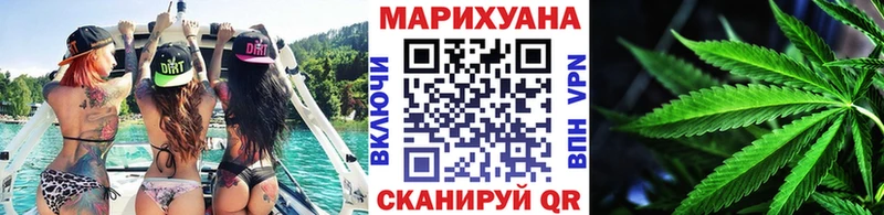 продажа наркотиков  Новая Ладога  hydra   Шишки марихуана White Widow 